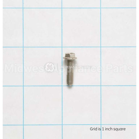 WB1X1116 GE Screw