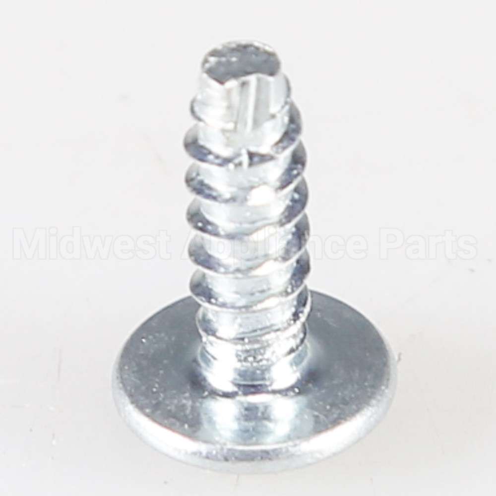 WB1X1515 GE Screw