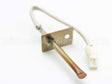 WB21T10018 GE Sensor Asm