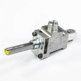 WB21X10053 GE Valve L F&R