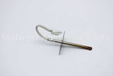 WB21X10165 GE Sensor Asm