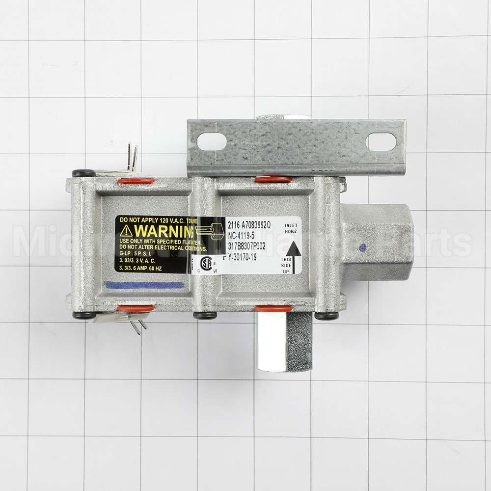 WB21X20474 GE Safety Valve Dual