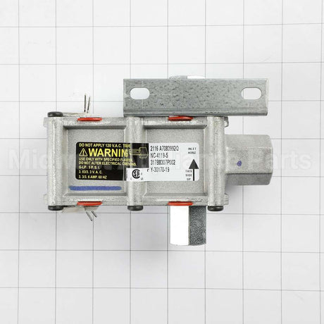 WB21X20474 GE Safety Valve Dual