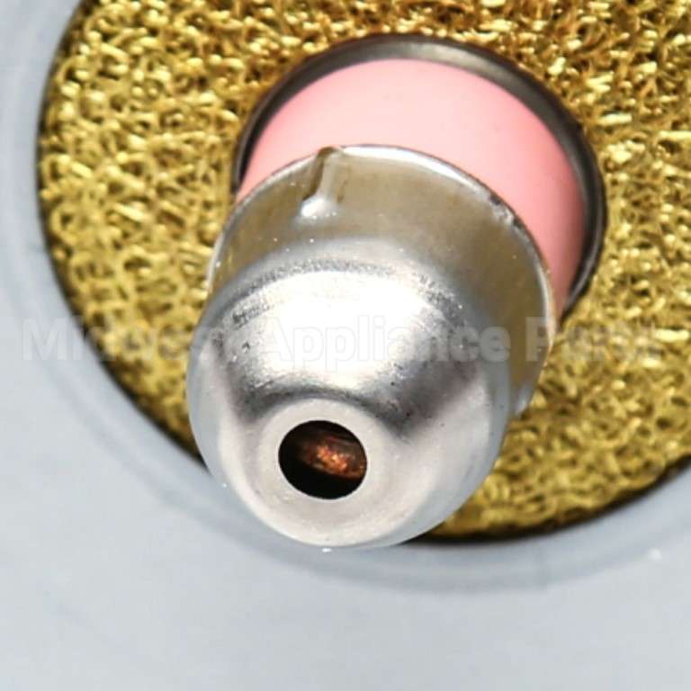 WB27X10249 GE Magnetron