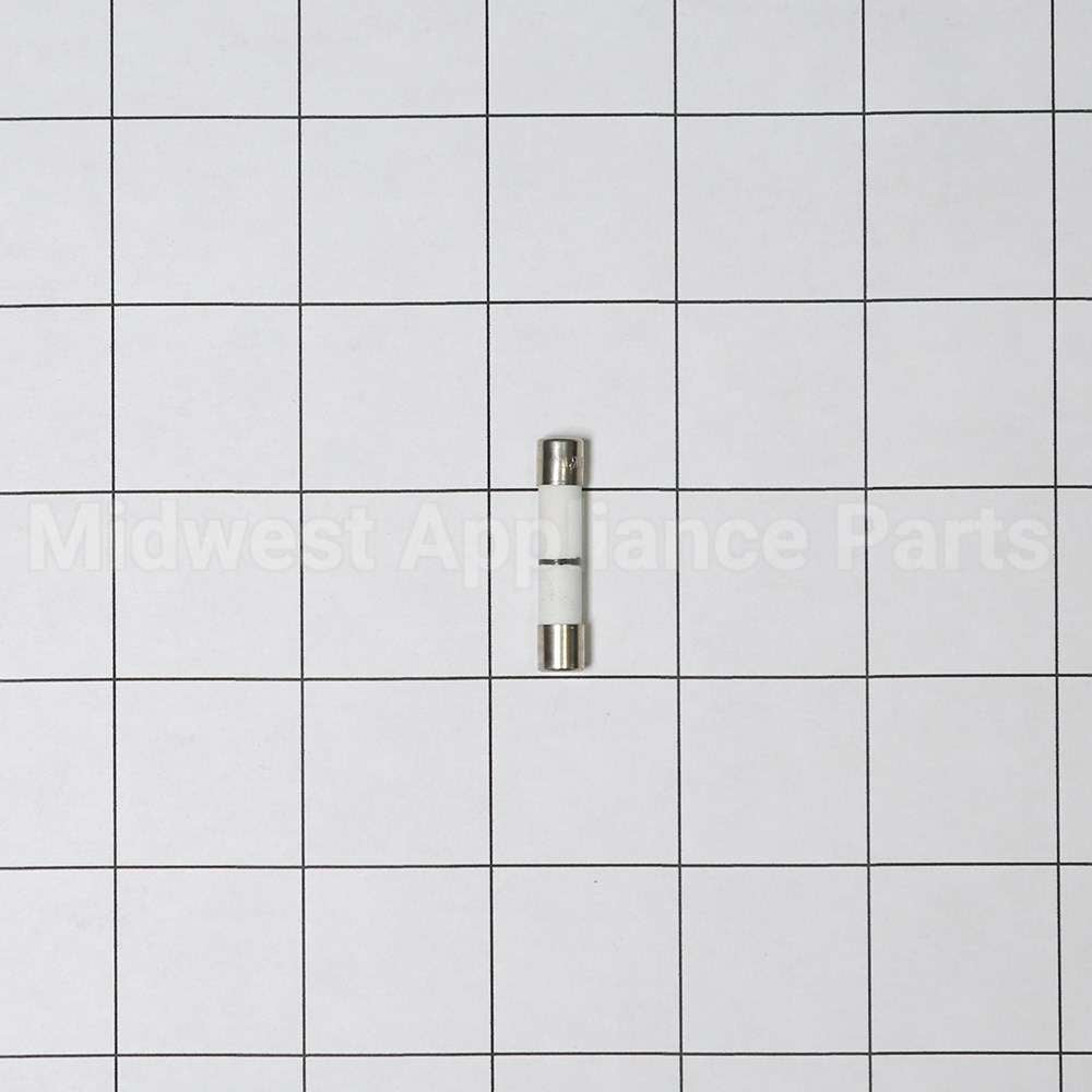 WB27X10928 GE Fuse