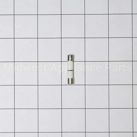 WB27X10928 GE Fuse