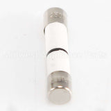 WB27X11099 GE Fuse