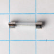 WB27X11138 GE Microwave Fuse