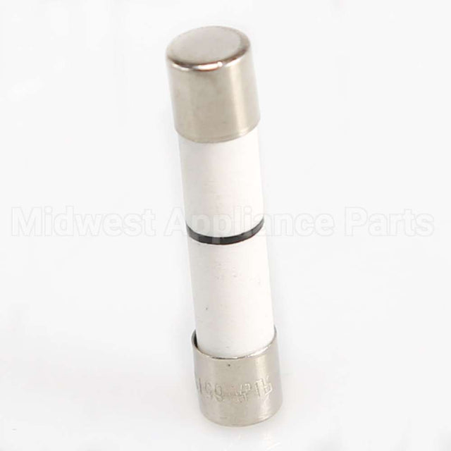 WB27X25389 GE Fuse