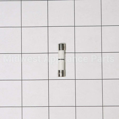 WB27X25389 GE Fuse