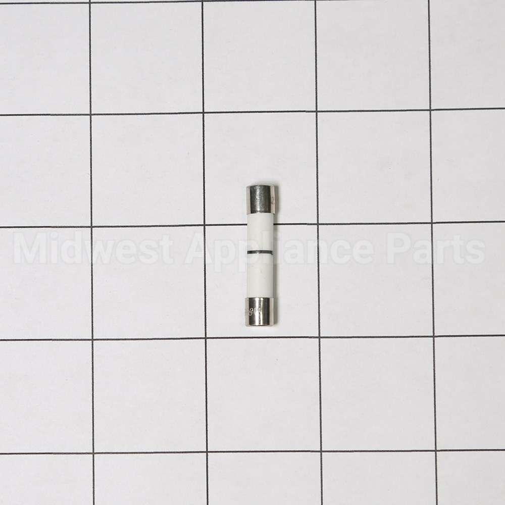 WB27X25389 GE Fuse