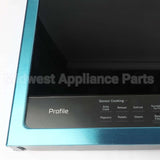 WB56X26203 GE Microwave Door - Black & Stainless Steel