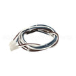 WC-13165 Compatible Curtis Harnessassembly, Warmer Alpha- 3D