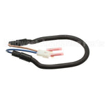 WC-37163 Wilbur Curtis Kit, Warmer Element 100W 220V