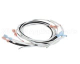 WC13200-120 Wilbur Curtis Harness Assy, Warmers 120V