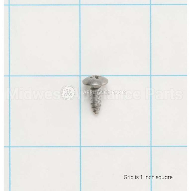 WD02X10166 GE Scr 8-18 Ab Hw 1/2 Ss