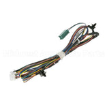WD21X10507 GE Harness Asm Door