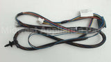 WD21X22916 GE Harness Asm Door