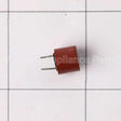 WD21X24482 GE Control Board Fuse 3.1A