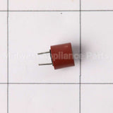 WD21X24482 GE Control Board Fuse 3.1A