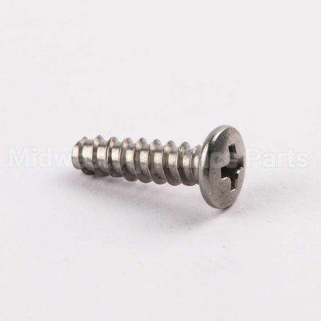 WE02X10060 GE Screw
