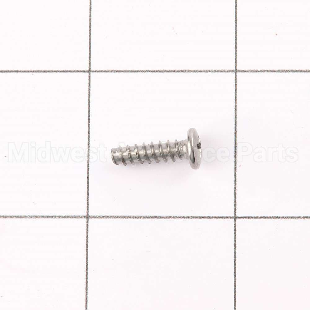 WE02X10060 GE Screw