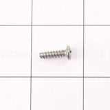 WE02X10060 GE Screw