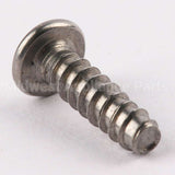 WE02X10060 GE Screw