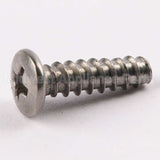 WE02X10060 GE Screw