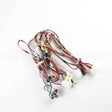 WE08X29053 GE Harness Main Dryer Nv Elec 27