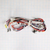WE08X29055 GE Harness Main Dryer Nv Elec 24