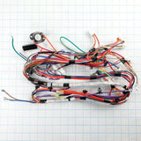 WE08X29466 GE Harness Elec Asm