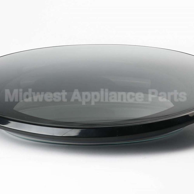 WE10X29718 GE Dryer Door Le