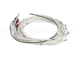 WH0031 Bki Wire Harness, Power 3 Ph Delt