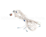 WH0128 Bki Harness