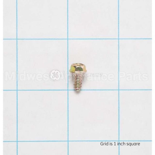 WH02X10197 GE Screwst4.4*9.5