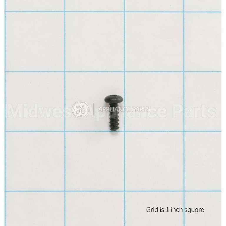 WH02X10372 GE Scr 8-16 Pl Pnt15 .500 S