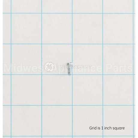 WH02X10381 GE Scr 4-16 H/L Pnt10 .315S