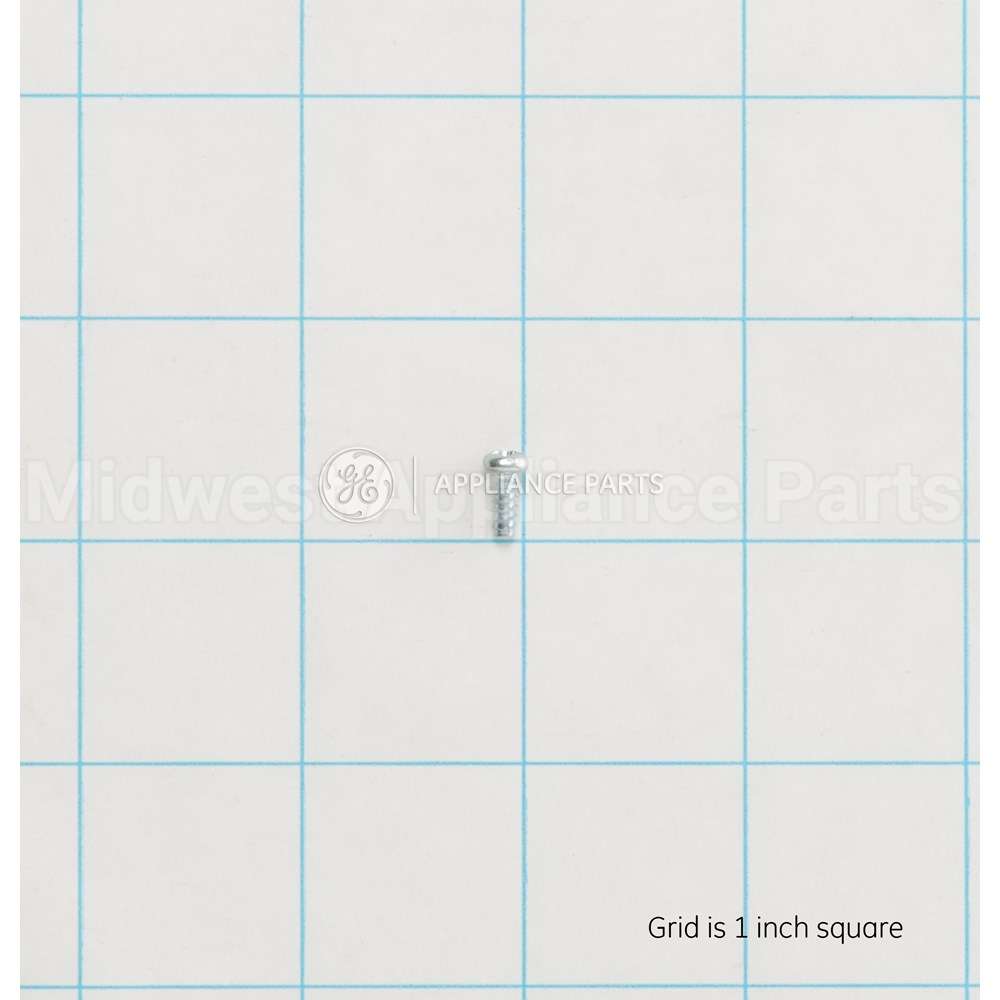 WH02X10381 GE Scr 4-16 H/L Pnt10 .315S