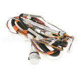WH19X10114 GE Harness Main - Orange