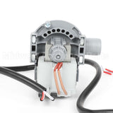 WH23X27419 GE Washing Machine Drain Pump