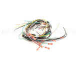 WHKGT-2 Cleveland Harness; Kgt