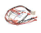 WHT300951 Cleveland Control Panel Harness; 22C Et3.1Mcs,208/