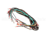 WIR0583SP Frymaster Wire Assembly, Gc/Gbc/Gsms Without Bl