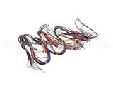 WIR06678 Trane Wire Harness