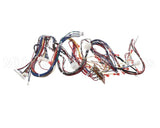 WIR06678 Trane Wire Harness