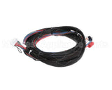 WIR07692 Trane Wire Harness Xover Bcxd
