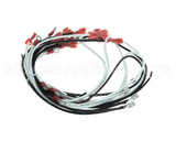 WIR0798 Frymaster Wire Assembly, Gl330 Xfrmr/Fltr Bx