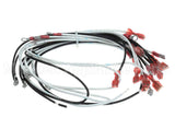 WIR0798 Frymaster Wire Assembly, Gl330 Xfrmr/Fltr Bx