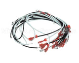 WIR0798 Frymaster Wire Assembly, Gl330 Xfrmr/Fltr Bx